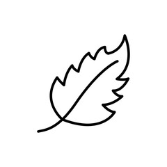 Leaves outline icons, minimalist vector illustration ,simple transparent graphic element .Isolated on white background