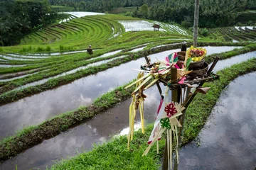 Fotobehang Subak is a traditional Balinese irrigation system based on mutual justice. This system regulates the distribution of water fairly. Terraced rice field in countryside of Bali © Anom Harya