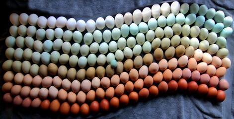 Natural Easter Eggs - Natural Colors