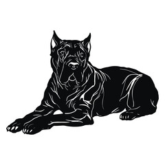 Cane Corso - Lying Dog, Funny dog Cut File for cricut vector clipart