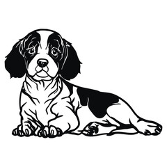 Cavalier King Charles Spaniel - Lying Dog, Funny dog Cut File for cricut vector clipart