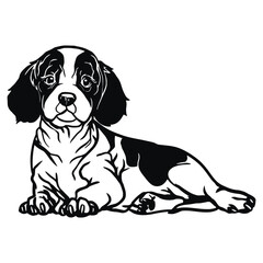 Fototapeta premium Cavalier King Charles Spaniel - Lying Dog, Funny dog Cut File for cricut vector clipart