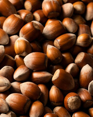 Raw hazelnuts in shells, agricultural harvest, protein food ingredients
- 748037552