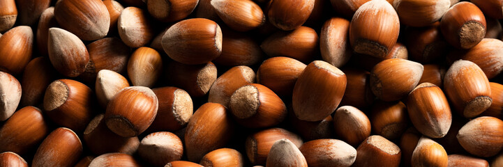 Raw hazelnuts in shells, agricultural harvest, protein food ingredients
- 748037573