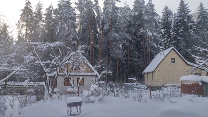 After a snowfall, snow lies on the ground and tree branches in the forest and garden. Buildings with snow-covered roofs stand in front of the forest. The winter sun illuminates the trees. Frosty