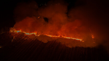 Forest fire burning at night