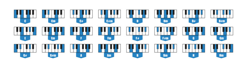 Standard 24 piano chords. Set flat vector illustration concept © M-KOS