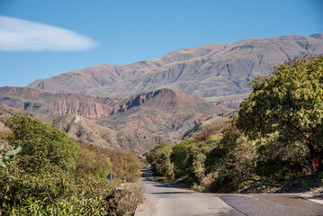 Esto y buena compañía.