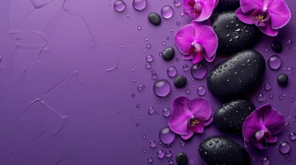 Top view Flat-lay composition with black spa stones massage treatment and flowers isolated purple...