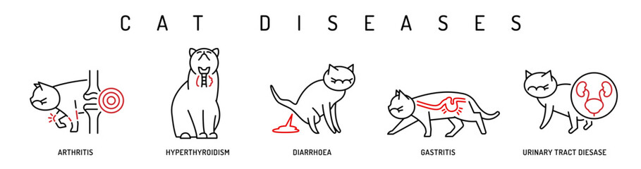 Cat health conditions icons. Arthritis, gastritis, urinary tract disease in cats. © Double Brain