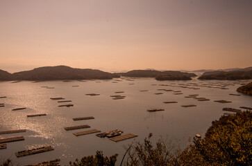 虫明のカキイカダ