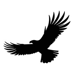 Fototapeta premium Eagle silhouette Bald Eagle silhouette isolated vector illustration