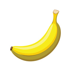 Isolated Realistic Banana Vector Illustration