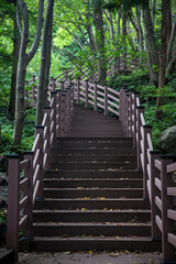 Fototapeta na wymiar Wooden stairway in the forest