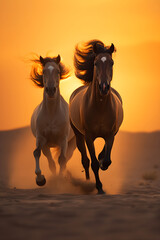 Captivating Snapshot: Graceful Arabian Horses Galloping Free in the Wilderness Under a Crimson Skyline - obrazy, fototapety, plakaty