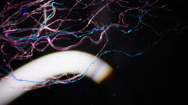 Cotton fibers under the microscope. 100x magnification. Natural raw material for cotton fabrics. 100 percent cellulose. Darkfield microscopy