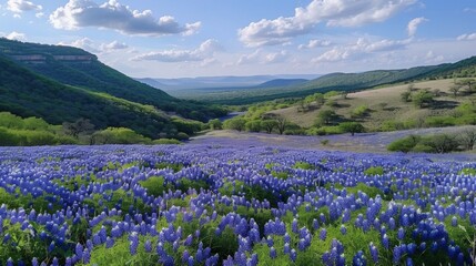 Vibrant Bluebonnet Field in Spring, Rolling Hills and Lush Greenery in the Background - Ideal for articles on nature, springtime, or travel guides to Texas.