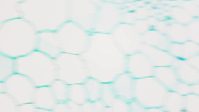 Stem of dicotyledonous plants under microscope, cross section. 400x times magnification. Phytochemical analysis. Recycling waste into biofuel production. Bioactive compounds with potential medicinal