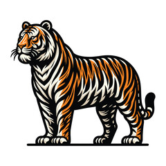 Fototapeta na wymiar Wild tiger full body vector illustration, zoology illustration, animal predator big cat design template isolated on white background