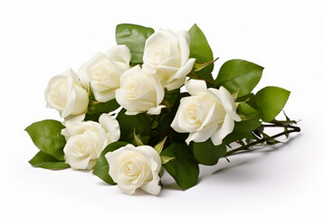 Bouquet of white roses with green leaves on white background.