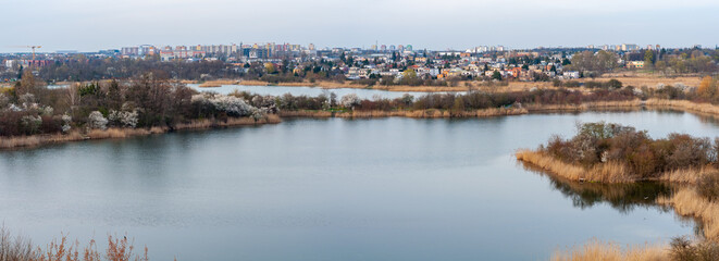 Landscape panorama lake against backdrop city. Marshy area with dry yellow reeds overgrown along the shores of lake;