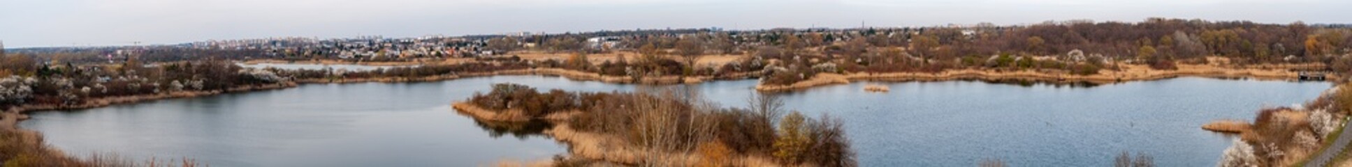 Landscape panorama of . lake. Marshy area with dry yellow reeds overgrown along the shores of the lake; autumn season