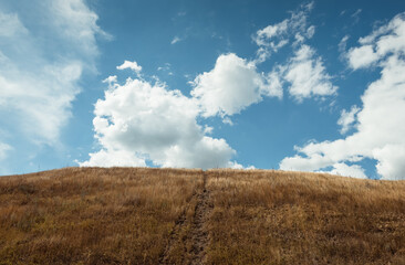 Fototapeta premium Up to the sky - narrow uphill path. Dry grass in the foreground and dark blue sky with few clouds. Looking up at the sky view. 