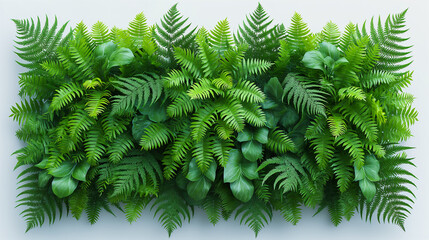 Dark green fern leaves arranged in layers on a white background. Image generated by AI
