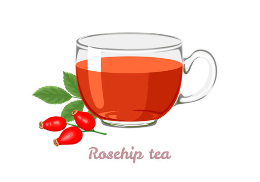 Rosehip tea in transparent glass cup. Vector cartoon illustration of healthy herbal tea.