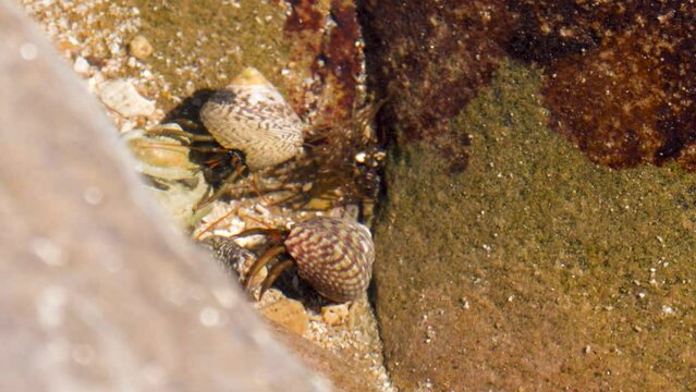 Nature Plage Rocher