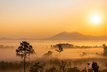 Landscape of Thung Salaeng Luang National Park Phetchabun Province Beautiful nature of sunrise and morning fog in the savannah in winter season thailand.