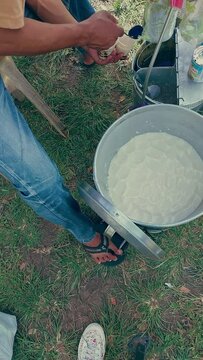 Vertical overhead view of a vendor adding arnibal and sago to two cups of silken bean curd called taho, authentic local pinoy vegan streetfood