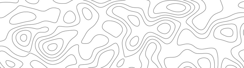 Abstract geographic curved, vector illustration. seamless textrue, vintage waves. Panorama view multicolor wave curve line. Topography map pattern, swirl line. white paper curved reliefs background.