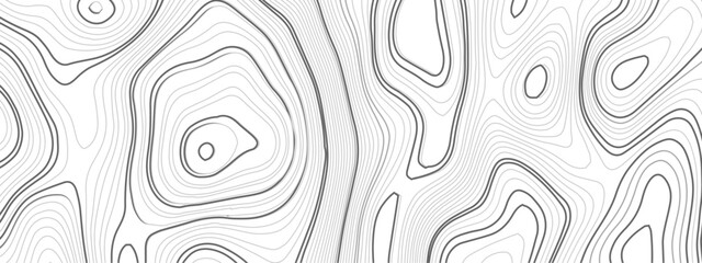 Black and white wavy paper curve relief abstract topographic map background. Geographic mountain relief. Topographic map lines, contour background. Abstract wave lines background. Vector illustration.