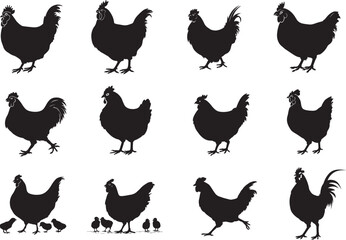 Hen chicken silhouette Vector Illustration set