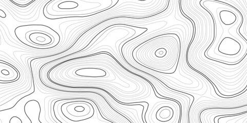 Fototapeta na wymiar White paper wave curve relief geometric wave grid line background. . Abstract wavy topographic map and curved lines background. Vector illustration.