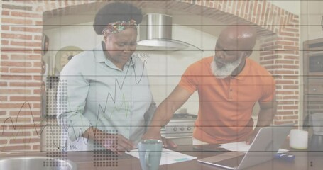 Animation of financial data processing over senior african american couple using laptop - Powered by Adobe