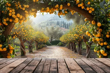 Fotobehang yellow lemon fruits garden background with empty wooden table top in front, Italy landscape background © nnattalli