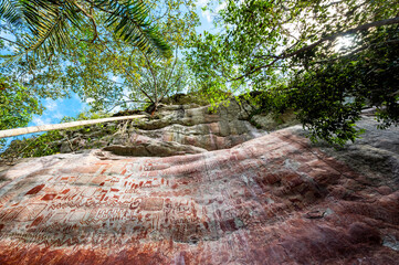 Ancient rock paintings in a dense jungle at Cerro Azul in Guaviare, Colombia - 748098533
