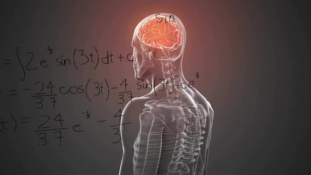 Animation of mathematical data processing over human brain and body on grey background