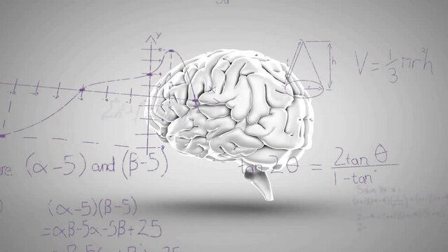 Animation of mathematical data processing over human brain on grey background
