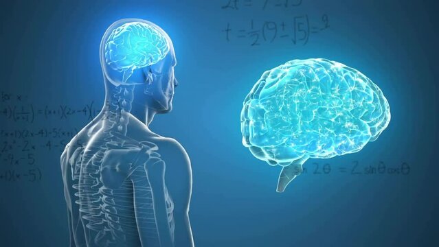 Animation of mathematical data processing over human brain and body on blue background