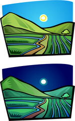 Irrigated fields, day and night 