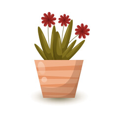 Flower with red petals in an orange pot. Deciduous house plants. Vector illustration with shadow and gradient. Icon, single design.