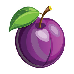 Fresh Plum Fruit Vector Illustration on White Background