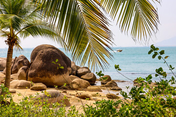 Picturesque view to tropical beach with stones and coconut palm trees. Tourist resort in Southeast Asia