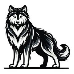 Obraz premium Wild wolf dog full body design vector illustration, animal wildlife template isolated on white background