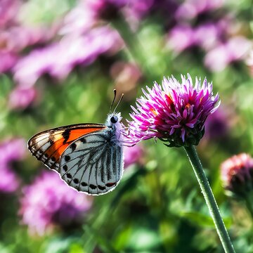 A butterfly on a flower with a blurred background with Ai generated. 