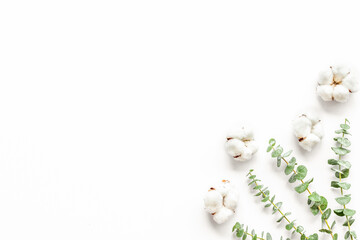 Natural flowers composition with eucalyptus branches and cotton on white background top view, flat...