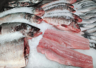 Silver carp fresh fish on ice in a food market